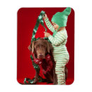 Pesquisar por chocolate imas Animal