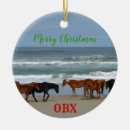 Pesquisar por selvagem ornamentos Praia