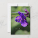 Pesquisar por nota roxa da flor Qualquer pessoa