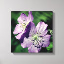 Pesquisar por flores bonito impressão de canvas Botânica