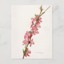 Pesquisar por pintura molhada Rosa