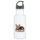 Pesquisar por imagem do yorkie Amantes do cão