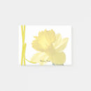 Pesquisar por daffodils fotografia Flores de primavera
