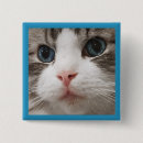 Pesquisar por olho botons Olhos azuis