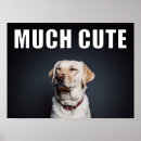 Pesquisar por pet pôsteres Cachorros