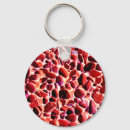 Pesquisar por seixos chaveiros Natureza