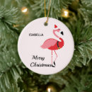 Pesquisar por papai noel tropical ornamentos Rosa