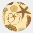 Pesquisar por subaquático adesivos Mar