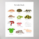 Pesquisar por animal cobra pôsteres Animais