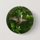 Pesquisar por do colibri botons Animais selvagens