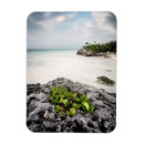 Pesquisar por tulum imas Fotografia