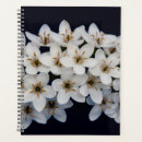 Pesquisar por primavera agendas Cores