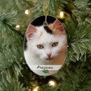 Pesquisar por imagens animais For pets