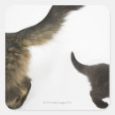 Pesquisar por mãe natureza adesivos Animal