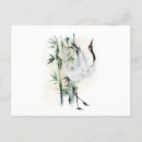 Pesquisar por bambu japonês cartoes postais Flor de cereja