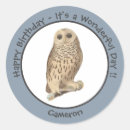 Pesquisar por das corujas adesivos Festa de aniversário