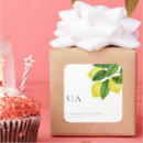 Pesquisar por ramos adesivos Italiano