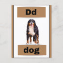 Pesquisar por flash cartoes postais Educação