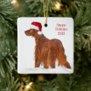 Pesquisar por irlandês ornamentos Inverno