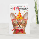 Pesquisar por abyssinian Animais de companhia