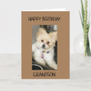 Pesquisar por veterinário engraçado cartoes Amor