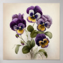 Pesquisar por flor violeta artes pôsteres Impressão de arte floral