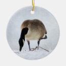 Pesquisar por canadense ornamentos Pássaro