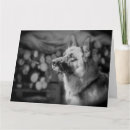 Pesquisar por animal birthday fotografia Bonito