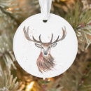 Pesquisar por originais ornamentos Natureza