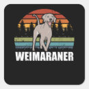 Pesquisar por weimaraner adesivos Cão do weimaraner