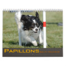 Pesquisar por papillons Cães