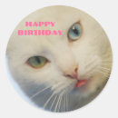 Pesquisar por olho verde adesivos Branco