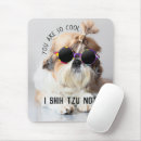 Pesquisar por tzu bonito de shih Shihtzu