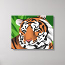 Pesquisar por ameaçado impressão de canvas Tigre