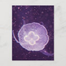 Pesquisar por transparente cartoes postais Oceano