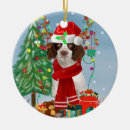 Pesquisar por espanhol ornamentos Spaniel de gesso