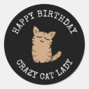 Pesquisar por gato feliz aniversario cartoes postais Fofofo