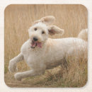 Pesquisar por cachorrinho porta copos Adorável