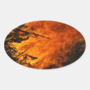 Pesquisar por furia adesivos Laranja