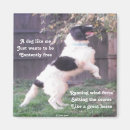 Pesquisar por poema cavalo Poesia