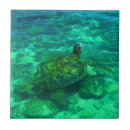 Pesquisar por tartaruga azulejos Verde