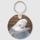 Pesquisar por beluga chaveiros Animal