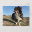 Pesquisar por pastor engraçado cartoes postais Fofo