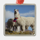 Pesquisar por decorado ornamentos Animal