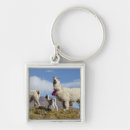 Pesquisar por decorados chaveiros Animal