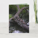 Pesquisar por family tree cartoes Cute