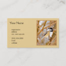Pesquisar por pássaro preto padrao cartao de visita Fotografia