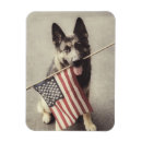 Pesquisar por do german shepherd imas Animal