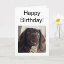 Pesquisar por memes cartoes For him