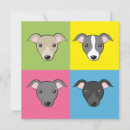 Pesquisar por galgo italiano cartoes Cão